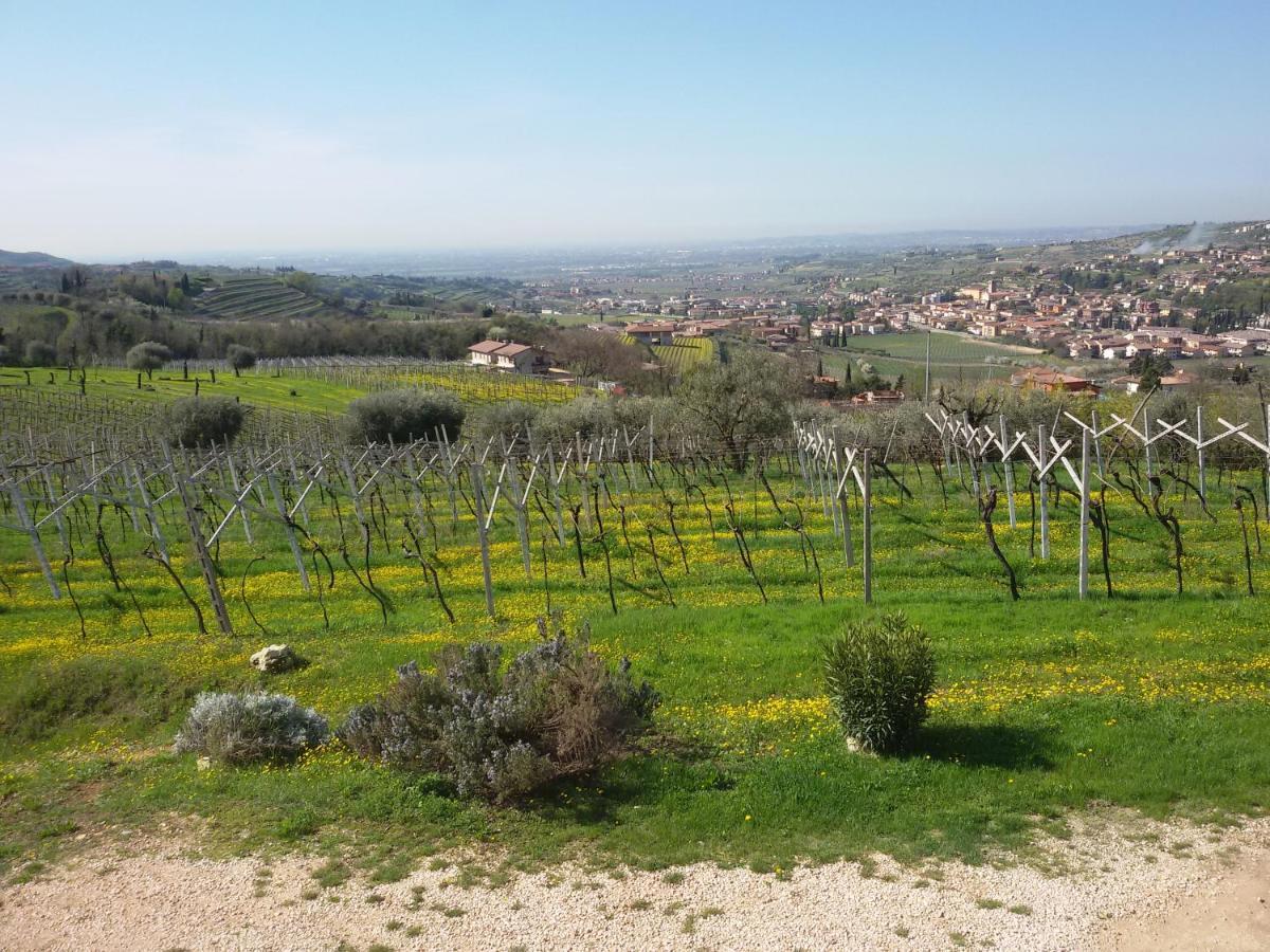 Magitti Appartamento Negrar Exterior photo